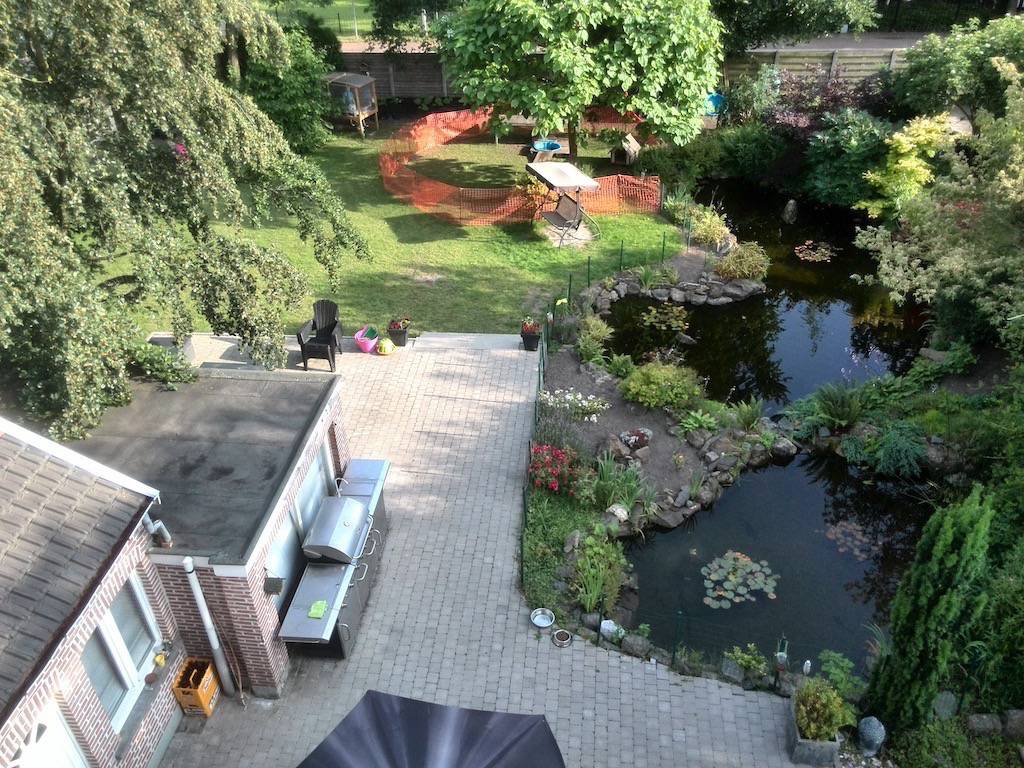 Onze vijver van bovenaf