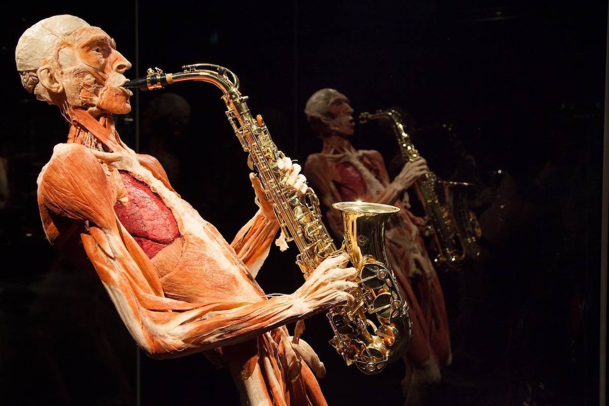 Opengewerkte lichamen